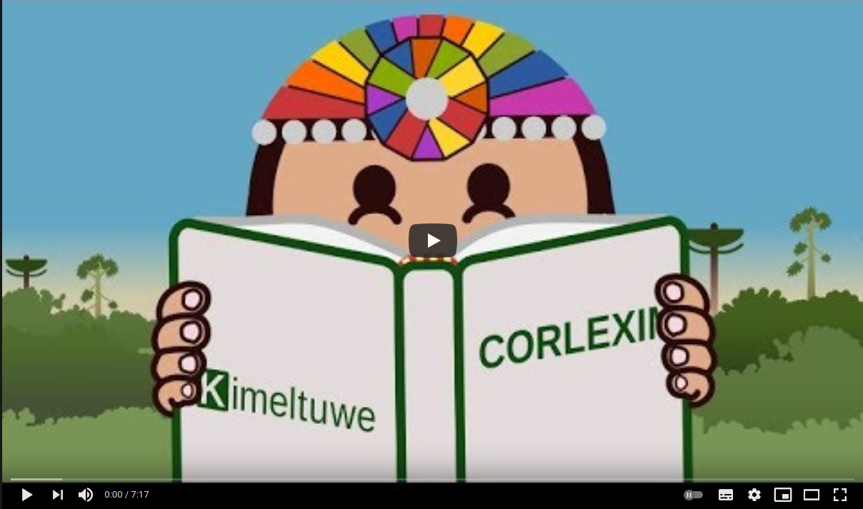 Vídeo: Usar CORLEXIM Usar CORLEXIM